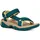 blue coral 40
