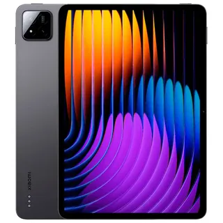 11,2" 256 GB Wi-Fi Gray