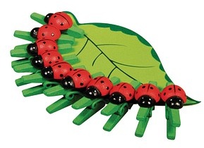 Rayher Holzklammern grün/rot mit Marienkäfer Ø 2,5 cm 10 St.