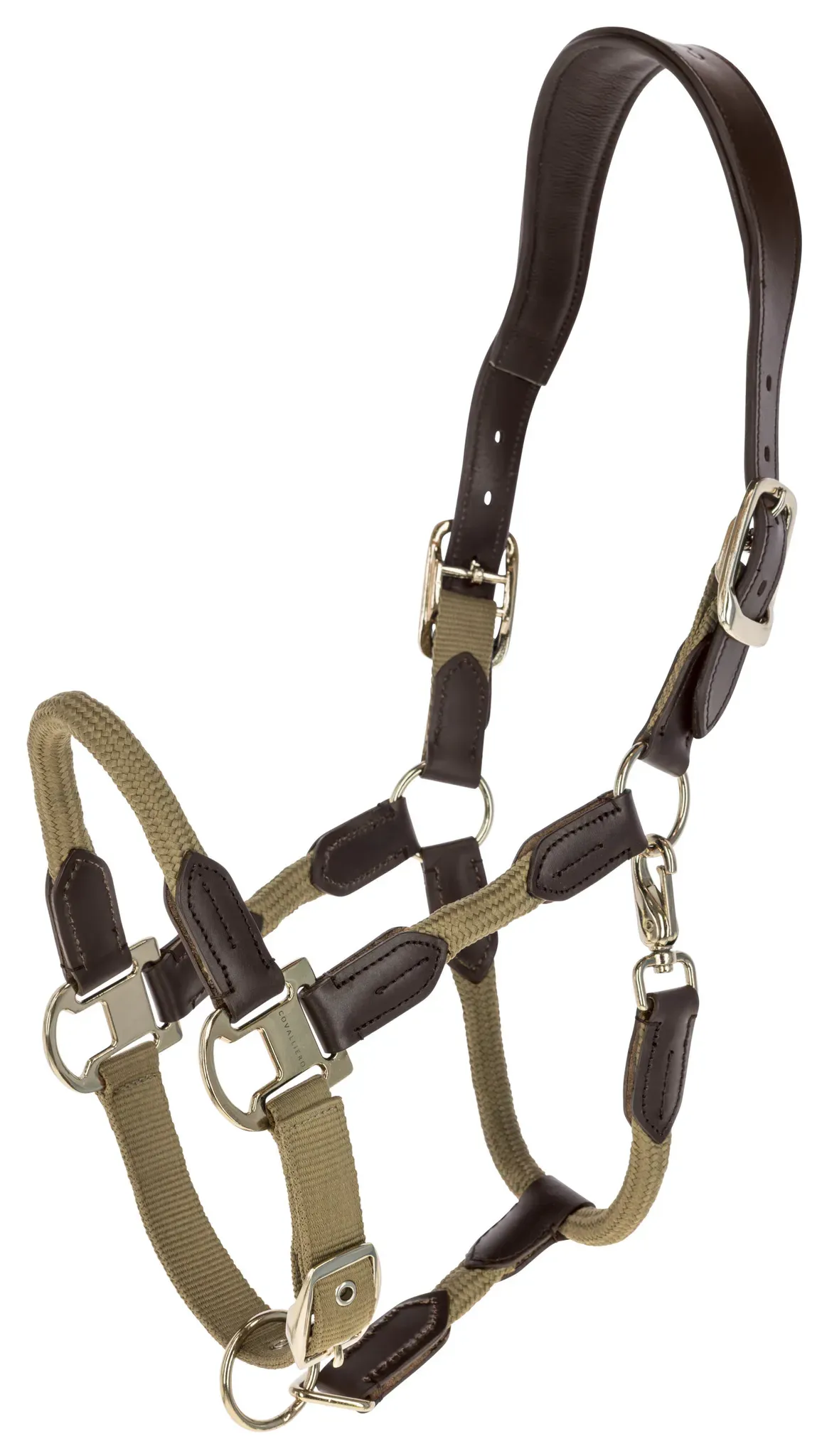 Covalliero Halfter Cordano Deluxe walnut FS 2026, Größe: Cob