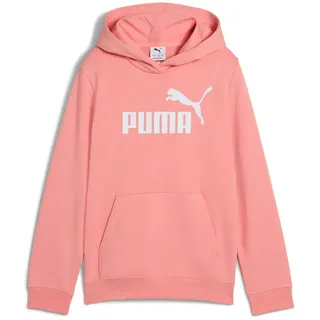 Puma Essentials No. 1 Logo French Terry Hoodie Mädchen 18 pink fruit 176