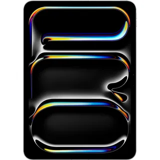 256 GB Wi-Fi + Cellular Silber