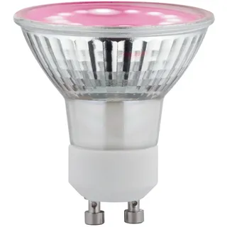 Paulmann LED-Pflanzenlampe Wachstum 230V GU10 3,5W Bernstein 1 St.