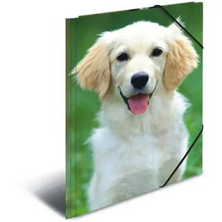 A3 hunde