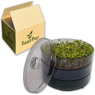 SaatPur® Keimsprossenbox Set 2 mit Zwei Etagen als Sprossen Keimgerät: Sprossen Anzucht sowie Microgreens Anzuchtschalen. Keimbox, Keimschale, Keimschachtel, Sprossenbox, Sprossenhaus, Keimgerät
