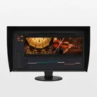 EIZO ColorEdge CG3100X - 30,5 Zoll DCI-4K Wide-Gamut-Monitor mit Hardware-Kalibr...
