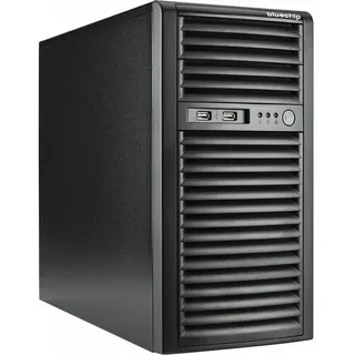 bluechip SERVERline T30331s 32 GB, Tower Server), Server