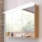 Puris b • brace Spiegelschrank 120 x 15 x 82 cm mit 1 LED-Flächenleuchte und 1 beleuchteten Ablagefach, Badmöbel,