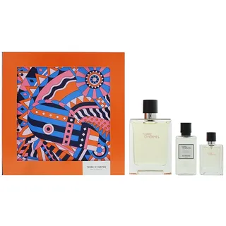 Hermès Terre d'Hermès Eau de Toilette 100 ml + Eau de Toilette 12,5 ml + After Shave 40 ml Geschenkset