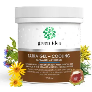 Green idea - TATRA GEL KÜHLEND – Latschenkiefer Franzbranntwein Salbe - Rosskastanie, Beinwell, Arnika - 15 Kräuter - Für Muskeln, Gelenke und Rücken - Pferdesalbe 250 ml