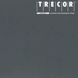 TRECOR Korkboden "SIENA" - Korkfertigboden mit CLIPEX Klicksystem in 24 Farben mit Keramiklack/Antiscratch Oberfläche lieferbar - Format: 900 x 300 x 10 mm (schiefergrau)