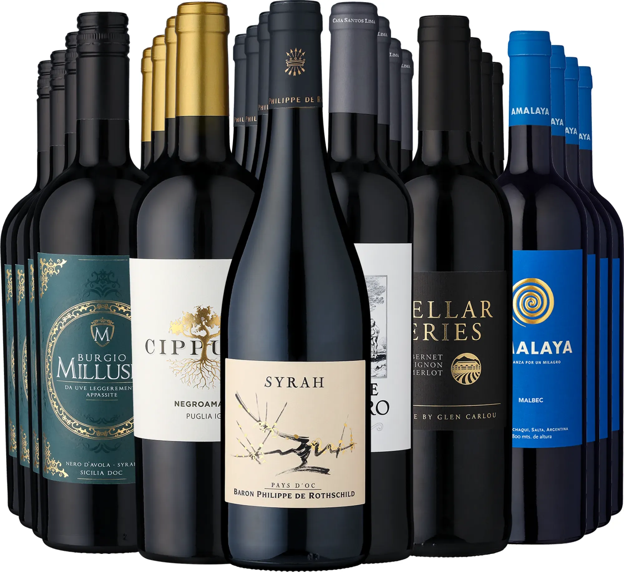 24er-Weinkellerpaket »Beste Rotweine für jeden Tag«