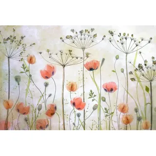 Papermoon Fototapete »Photo-Art MANDY DISHER, Mohnwiese bunt