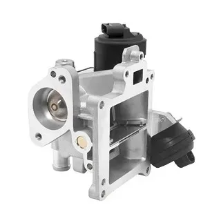 BorgWarner AGR-Ventil