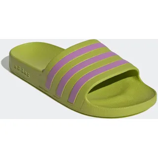 Preloved Lime / Preloved Purple / Preloved Lime 39