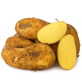 Annabelle Kartoffeln Pfalz – festkochend – neue Ernte 2025 – Speisekartoffeln 1–25?kg - 25 kg