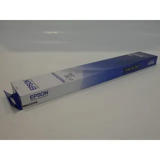 Epson C13S015642