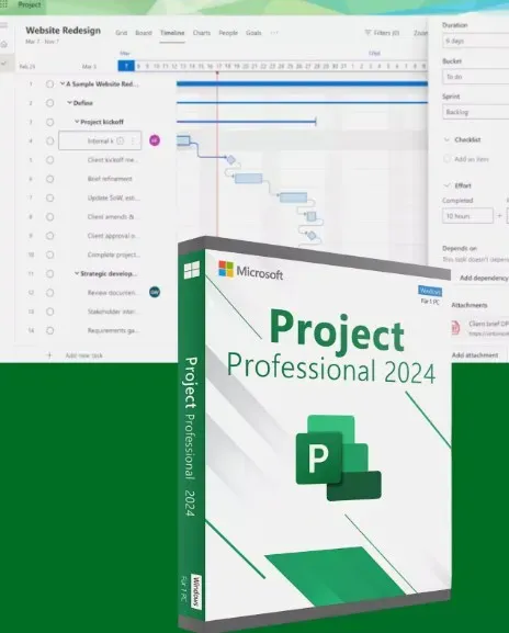 Project 2024 Professional