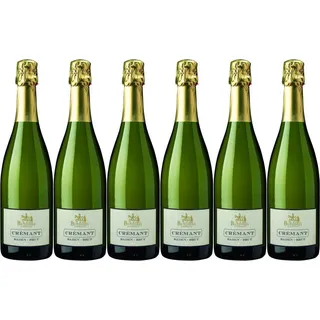 6x Baden Sekt b.A. Crémant brut, 2022 - Winzergenossenschaft Britzingen/Markgrä...