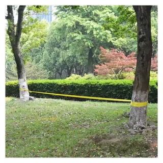 vidaXL Slackline 15 m x 50 mm 150 kg Gelb