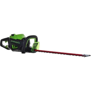 Greenworks GD60HT66 ohne Akku