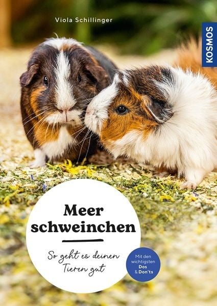 Meerschweinchen: So geht es deinen Tieren gut