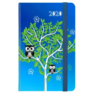 Idena 11430 - Motivkalender 2020 Eule 9 x 14 cm