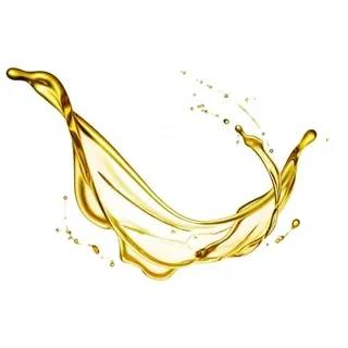 Sesamöl kaltgepresst BIO, 1 Liter von Dragonspice Naturwaren, 1 Liter