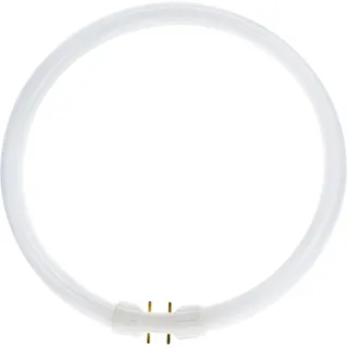 Philips Master TL5 Circular 55W/830 2GX13