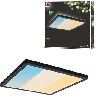 Paulmann LED Panel Atria Shine - Schwarz