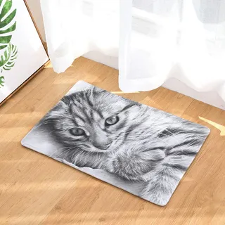 Baisheng Nette Lustige Katze Muster Rutschfeste Badematte/Küchendecke/Schlafzimmermatte Wasserabsorbierend Schnell trocknend (Muster 1-15.7x23.6Zoll /40x60cm)