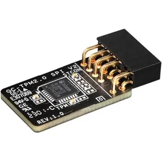 Gigabyte GC-TPM 2.0 SPI V2,