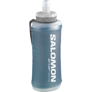 Salomon Active Handheld Schwarz