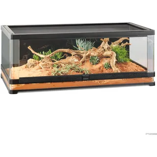 Exo Terra Vista 120 - Panorama-Naturterrarium