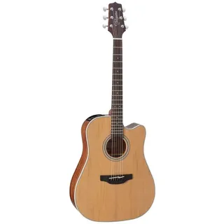 TAKAMINE GD20CE NS