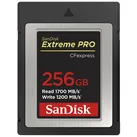 Extreme PRO CFexpress Card 256GB Type B, 1700/1200 MB/s