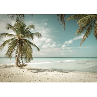Forwall - Vlies Fototapete Strand Meer Sand Palmen Tropen Natur Landschaft 368x254 cm - Fototapeten - Tapeten - für Wohnzimmer Schlafzimmer - Vliestapete Wandtapete Tapete 3D Effekt- inkl. Kleister