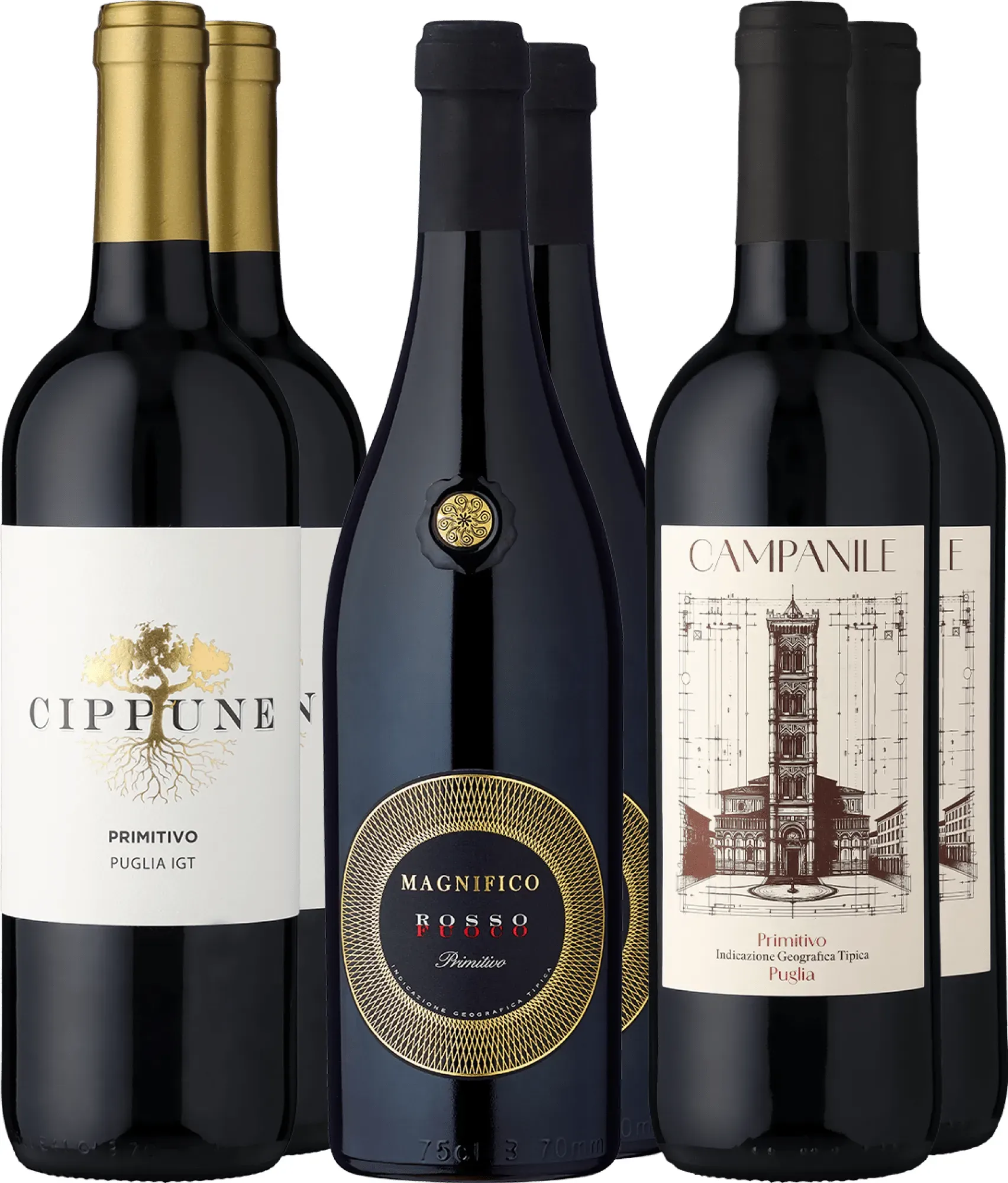 6er-Probierpaket »Best of Primitivo«