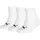 Socks 3 pack 31-34