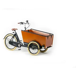 Bakfiets CargoTrike Cruiser Wide Scheibenbremsen Petrol Enviolo Stufenlose Schaltung