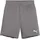 Puma teamGOAL Shorts Kinder 13 cast iron/white 164