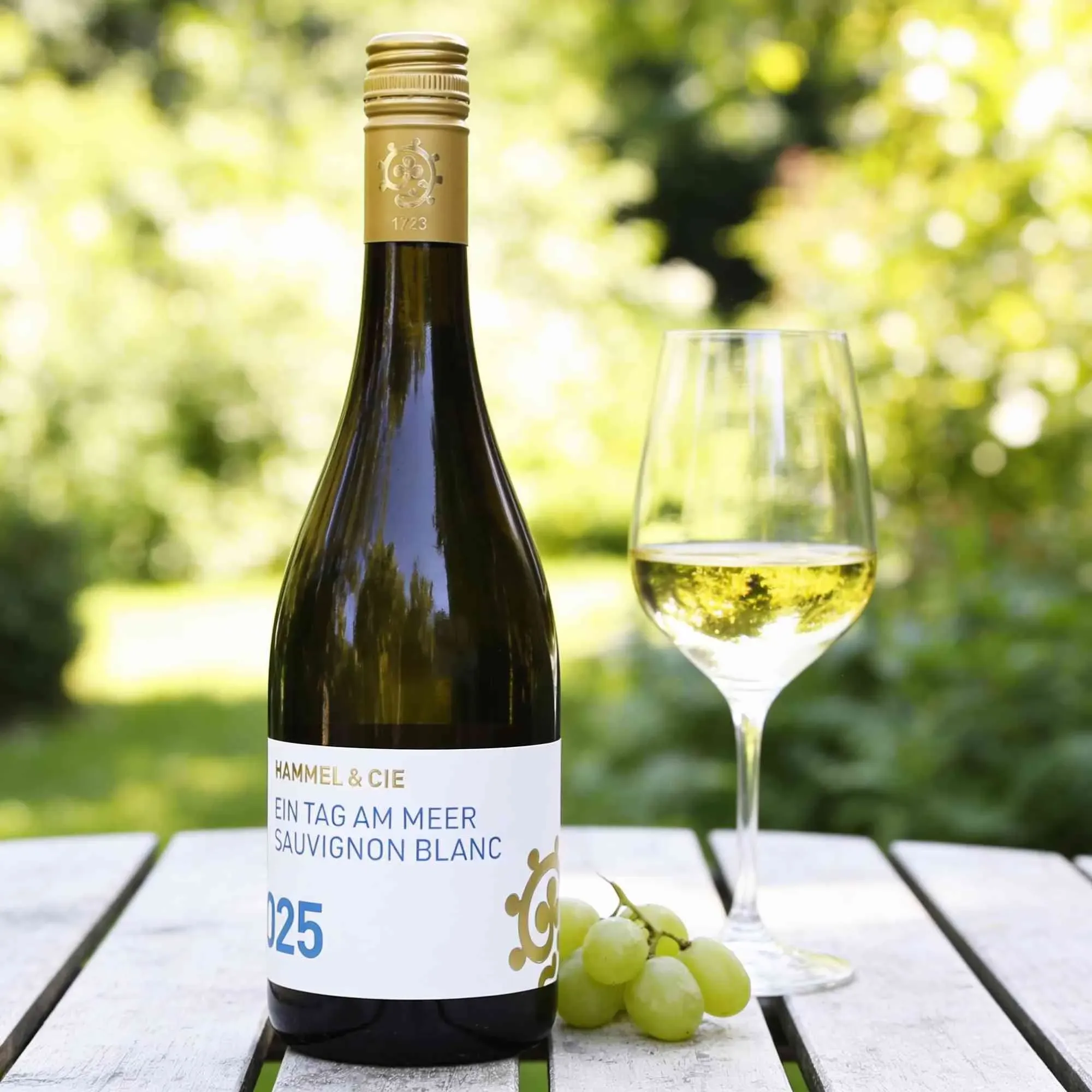 Hammel & Cie 2025 Hammel & Cie Ein Tag am Meer Sauvignon Blanc 2025 Sauvignon Blanc Deutschland