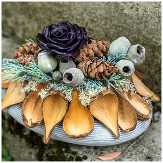 Trockenblume Natürliche Samenkapseln Deko Schoten Braun 50 St 9-12 cm, Viana