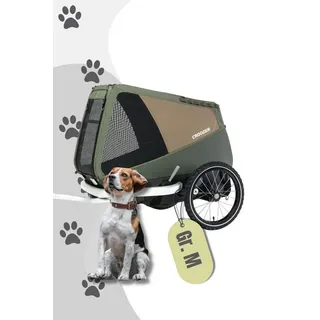 Enna moss green 2022