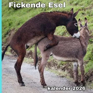 Weingarten Esel Kalender 2026
