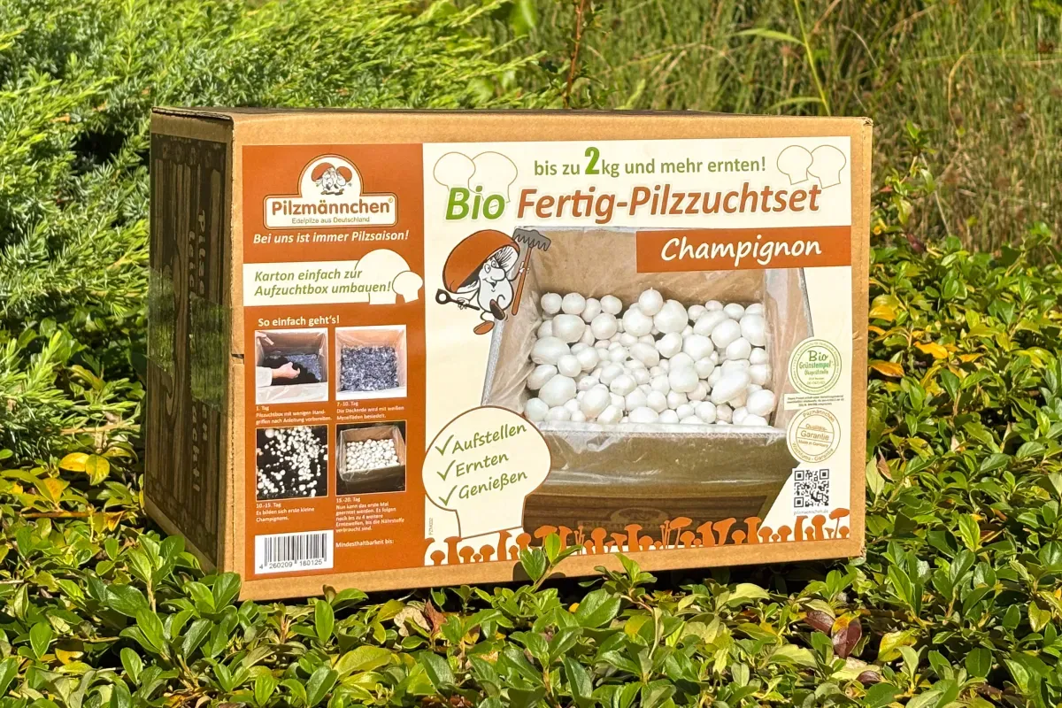 Bio Champignon-Pilzzuchtset