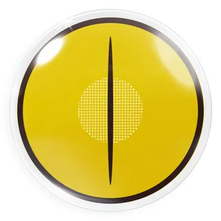 MeralenS Farbige gelbe Kontaktlinsen 1 Paar Demon Cat Yellow Anime Manga - STARK DECKEND - Heroes Of Cosplay - Jahreslinsen für Cosplays Halloween mit gratis Linsenbehälter - Ohne Stärke