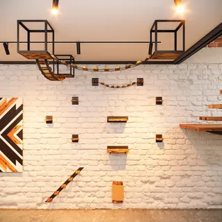 QLS Katzen Kletterwand Set XXL Hängebrücke Katzenbett Katzenregal Wandmontage 11163 - Schwarz