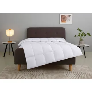 Home affaire Daunenbettdecke Litrone, Bettdecke 135x200 cm, 155x220 cm, 200x200 cm, 240x220 cm, Füllung: 100% Gänsedaunen, Bezug: Baumwolle, Bettdecken, Sommer, Winter, Ganzjahresdecke, Decke, Made in Germany weiß 135 cm x 200 cm