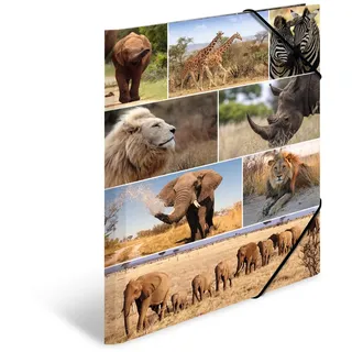 Herma Sammelmappe Tiere A3 afrika tiere